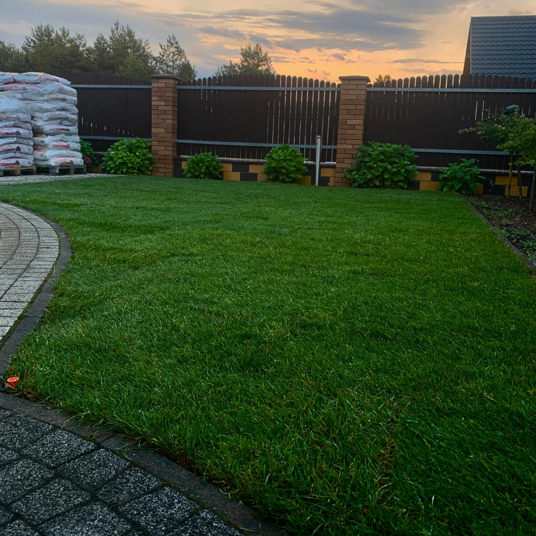 trawa z rolki Giżycko