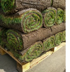 paleta trawy z rolki