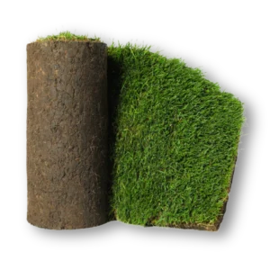 trawa z rolki Białystok