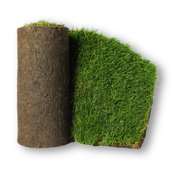 trawa z rolki Białystok